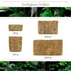 Sphagnum Moos 500g, ca. 40L – stark Wasser-speicherndes Produktbild-Vorschau 9