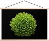 MuchoWow® Textilposter Eine grüne Chrysanthemenblüte auf Produktbild-Vorschau 1