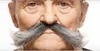 Mutton Chops Farbe: grau-weiß meliert Produktbild-Vorschau 4