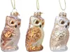 Christbaumschmuck Eule Glas 8.8cm, 1 Stück sortiert Produktbild-Vorschau 1