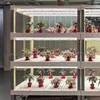 T5 LED rostlina lampa světlo trubice plné spektrum rostlina Náhled obrázku produktu 8