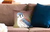 MuchoWow® Zierkissen Sofakissen Wohnzimmer Dekokissen 40x40 Produktbild-Vorschau 2