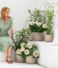 Dehner Hibiskus Purple Ruffles®, große gefüllte lila Produktbild-Vorschau 3