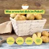 Belana Pflanzkartoffeln 2,5 kg festkochend, frühreifenden Produktbild-Vorschau 4