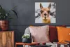 MuchoWow® Poster Lama - Selfie - Boom 50x50 cm - Produktbild-Vorschau 2