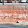 An orange plastic safety fence is set up on a sidewalk, with a construction site behind it and blurred cars in the background. Náhled obrázku produktu