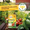 Solabiol Veggie Boost - 250 ml Produktbild-Vorschau 7