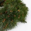Triumph Tree Forest Frosted Couronne de Noël - Ø60 cm - Voir les images du produit 2