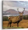 Bild auf Leinwand - Leinwandbild - Einteilig - Rehe Wiese Produktbild-Vorschau 1