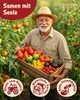 ZenGreens® Bio Tomatensamen Set 20 Sorten – samenfestes Produktbild-Vorschau 2
