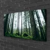 Tulup Leinwand-Bilder 100x50 Wandbild Canvas Kunstdruck Produktbild-Vorschau 2