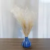Federgras Getrocknete - (Stipa pennata) - Gebleicht Produktbild-Vorschau 3
