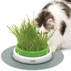 Donica na trawę CATIT Senses 2.0 - sadzarka do trawy Podgląd zdjęcia produktu 4