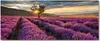 Tulup® Glas-Bild Wandbild aus Glas - 125x50 - Wandkunst - Produktbild-Vorschau 1