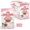 Royal Canin Kitten Jelly, Kotě, Kuřecí maso, 85 g Náhled obrázku produktu 27