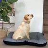 A yellow Labrador dog sitting in a dog bed next to a large potted plant. Produktbild-Vorschau