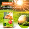 2 x 1 kg VERDURMAX® Trockenrasen Samen Produktbild-Vorschau 4