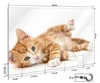 Wallario Schlüsselbrett aus Glas, Motiv: Süße Katze mit Produktbild-Vorschau 2