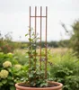 3x Rankgitter 150 cm - Rankhilfe Garten - Staudenhalter - Produktbild-Vorschau 7
