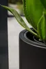 Vaso da fiori ESCADA in fibra di vetro, nero, 35x60 cm Anteprima dell’immagine prodotto 6