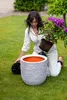 A woman is kneeling in a garden, planting a rhododendron into a large, textured pot. Náhľad obrázku produktu