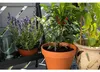 Gardena giardinaggio urbano - Kit di irrigazione per le Anteprima dell’immagine prodotto 40