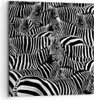 Bild auf Leinwand - Leinwandbild - Tiere Zebra Streifen - Produktbild-Vorschau 1
