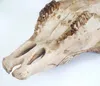 Close-up view of a skull with teeth, likely a decorative item. Podgląd zdjęcia produktu