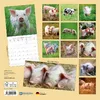 Wandkalender 2027 Schweinchen / Piggies 30x30 cm mit Extra Produktbild-Vorschau 2