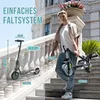 RCB 10 Zoll Elektroscooter E-Scooter mit Straßenzulassung Produktbild-Vorschau 4