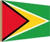 vianmo Holzschild 20x30 cm Guyanas Guyana Flagge Fahne Produktbild-Vorschau 1
