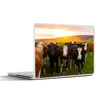 MuchoWow® Laptop Aufkleber Sticker Cover Kühe - Hügel - Produktbild-Vorschau 1