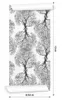 10m VLIES TAPETE Rolle Schwarz Weiß Baum √Ąste Natur XXL Produktbild-Vorschau 3