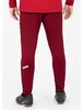 Jako Premium Trainingshose Herren - Weinrot Produktbild-Vorschau 3