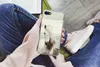 MuchoWow® Handyhülle Schutzhülle Hülle für iPhone SE 2022 Produktbild-Vorschau 3