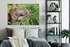OneMillionCanvasses® - Leinwandbilder - 140x90 cm, Affe - Produktbild-Vorschau 6