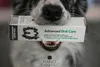 Dentifrice Advanced Oral Care pour chiens et chats 35 ml Voir les images du produit 2