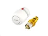 A white thermostat head and a brass valve insert are shown against a white background. Produktbild-Vorschau