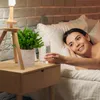 Lot de 3 plantes artificielles Relaxdays, assortiment de Voir les images du produit 3