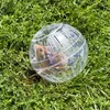 2 x Hamsterball, Laufkugel für Hamster & Mäuse, Bewegung, Produktbild-Vorschau 2