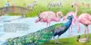Hör mal: Im Zoo Produktbild-Vorschau 2