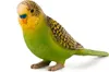 Mojo Fun Budgerigar Green, 3 lat(a), FARMLAND, Zielony, Podgląd zdjęcia produktu 1