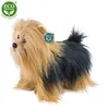 Pluszowy Yorkshire Terrier 30 cm Ekologiczny Podgląd zdjęcia produktu 7