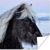 MuchoWow® Poster Pferd - Schnee - Island 75x75 cm - Wand Produktbild-Vorschau 1