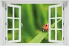 Wallario selbstklebendes Poster mit Fenster-Illusion - Produktbild-Vorschau 1