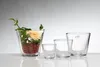 12er SET Glasvasen Windlichter Teelichthalter CONI H. 11cm Produktbild-Vorschau 2