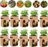 10 sacs de plantes, sac de plantation de pommes de terre 7 Voir les images du produit 1