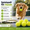 6x Tennisbälle gelb Sport & Tennis - Training und Wettkampf Produktbild-Vorschau 6