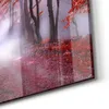 DEQORI Glasbild Echtglas 3x50x100 cm 'Roter Blätterwald' Produktbild-Vorschau 5