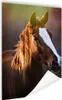 MuchoWow® Poster Pferd - Licht - Mantel 90x120 cm - Produktbild-Vorschau 1